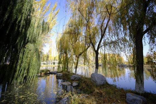 公園