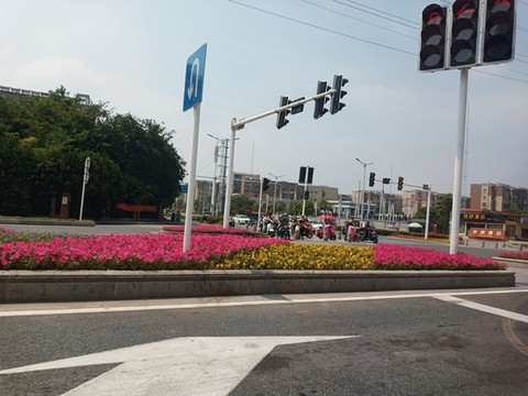 街面花圃