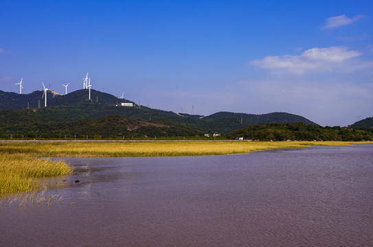 風(fēng)景
