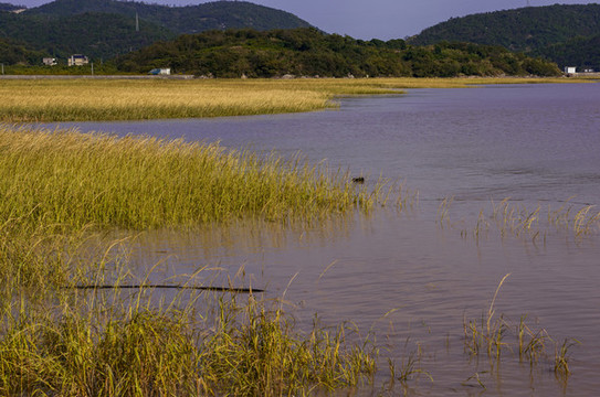 風(fēng)景