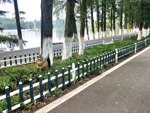 花壇柵欄
