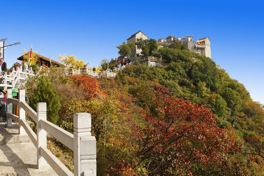 太行山柏尖山風(fēng)景