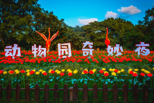 上海野生動物園