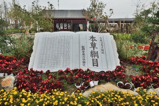 本草綱目書石雕