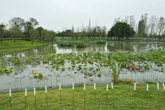 荊州園博園