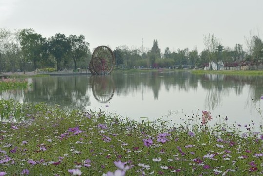荊州園博園濕地