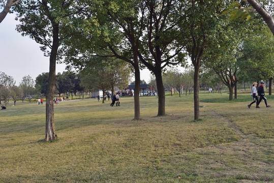 荊州園博園秋景