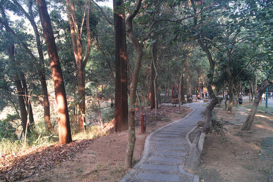 惠州紅花湖早晨