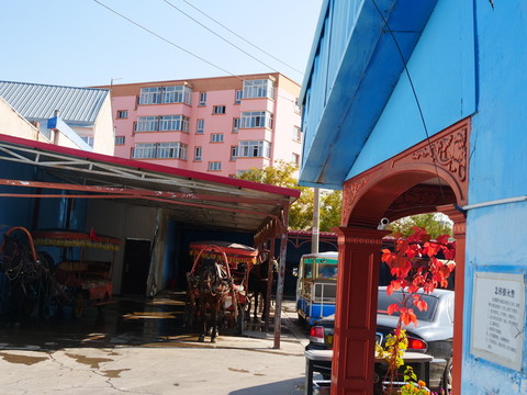 伊犁旅游觀光馬車