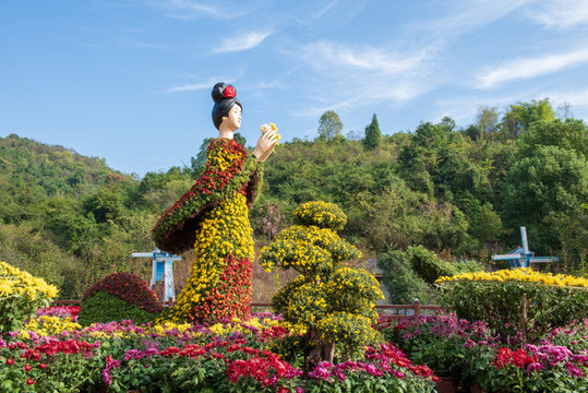菊花造型