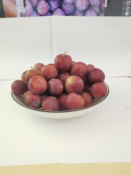 脆李實(shí)拍
