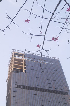 住宅樓