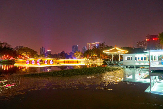 荔灣湖夜景