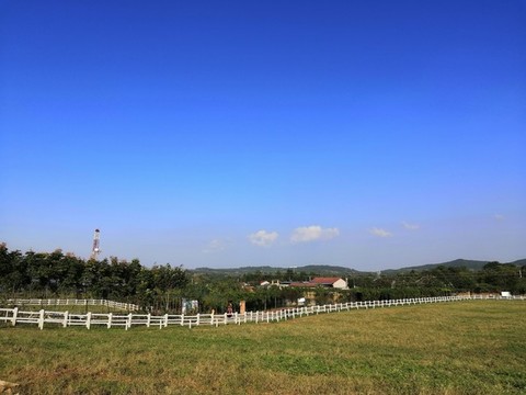 牧場(chǎng)