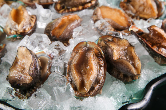 鮑魚