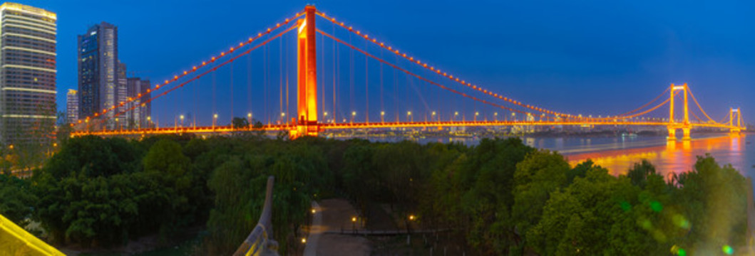 武漢鸚鵡洲長江大橋夜景景觀