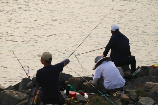 珠海市情侶路日月貝釣魚圖片