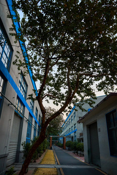 工業(yè)園