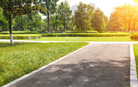 重慶中央公園的林間小路