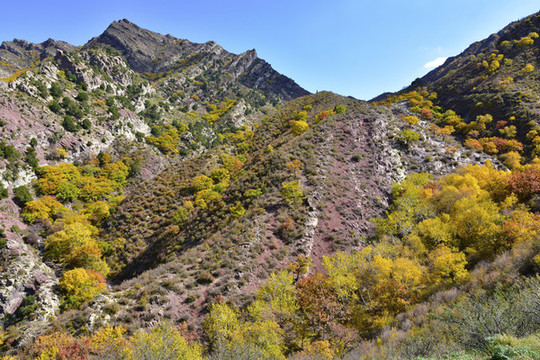 高山風景