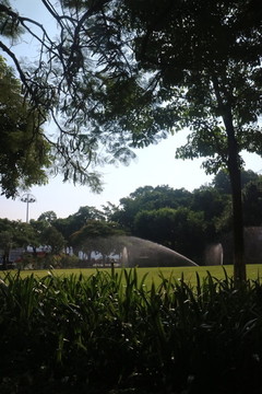 隔暗觀水