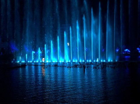 燈光秀夜景
