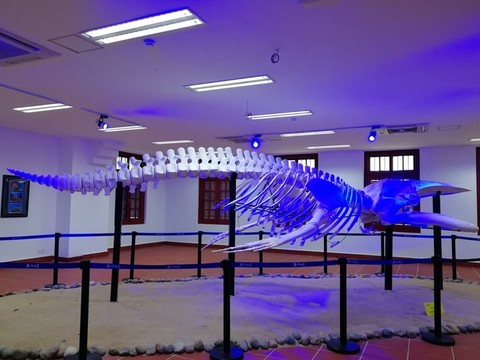 廈門大學