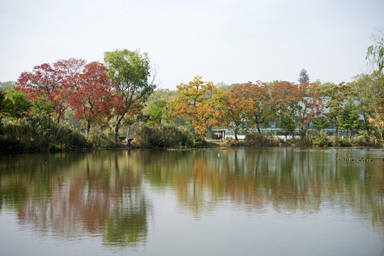 南京前湖公園
