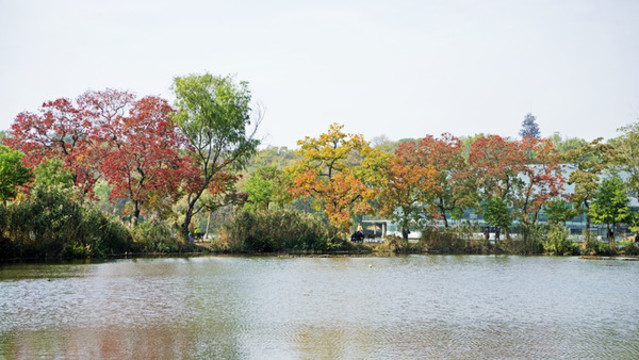 南京前湖公園