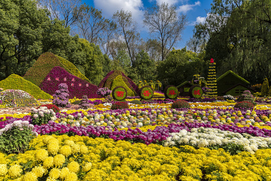 森林公園菊花展
