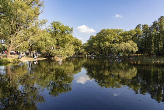 森林公園池塘