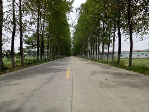 農(nóng)村道路