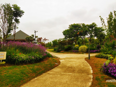 郊野公園上海