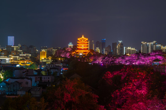 湖北武漢兩江四岸燈光秀夜景風光