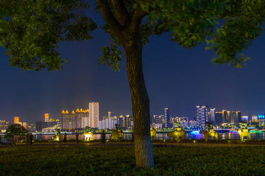 湖北武漢兩江四岸燈光秀夜景風光
