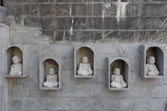 毗盧寺