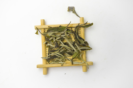 白茶