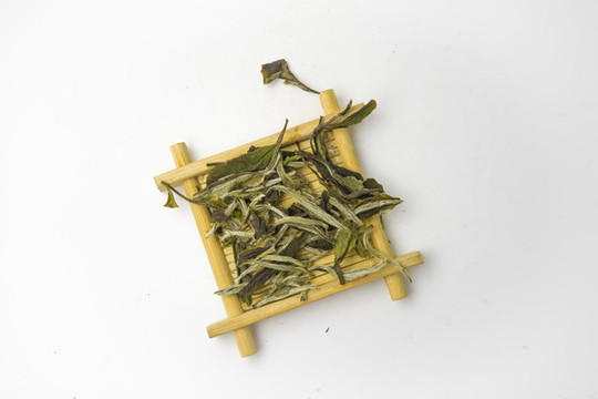 福鼎白茶
