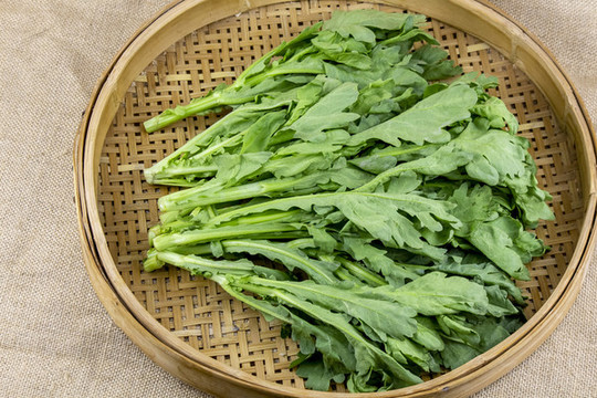 新鮮蔬菜