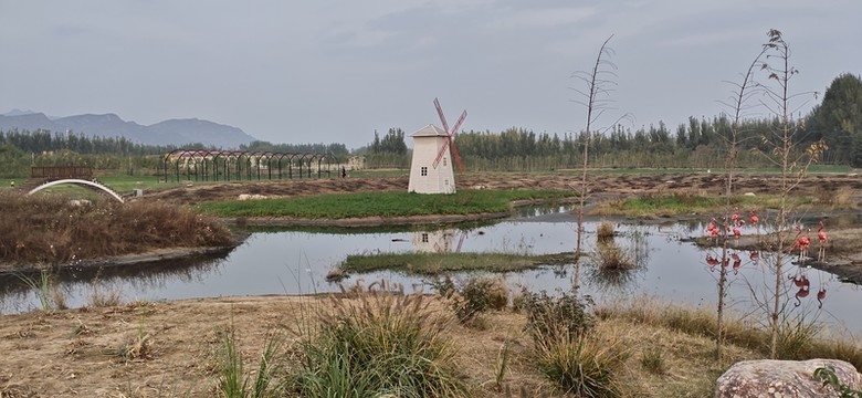 小河與小房
