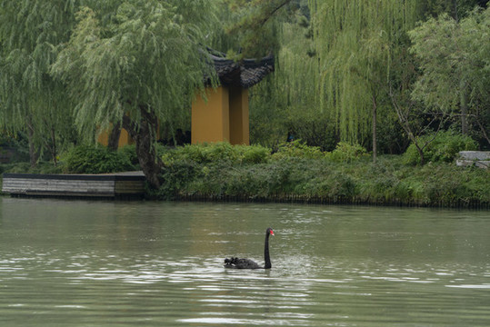 揚州瘦西湖
