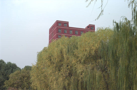 多彩的秋天