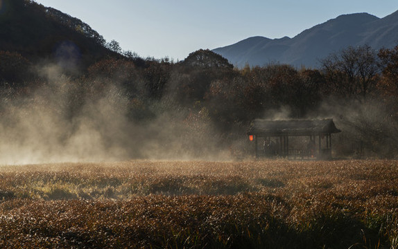 神農(nóng)架大九湖
