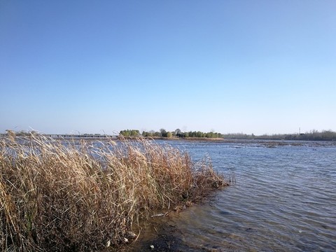 岔河
