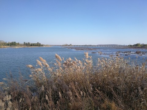 岔河
