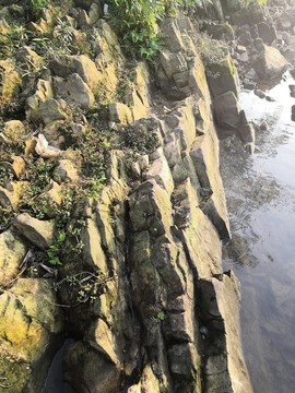 河邊巖石