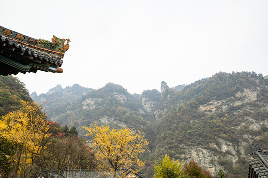 武當山