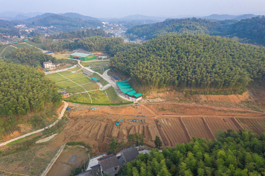 航拍竹園綠地