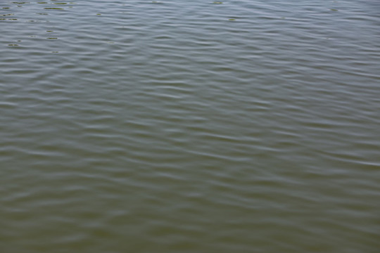 水紋