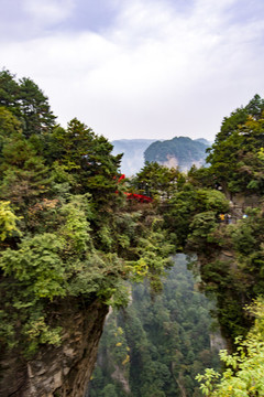 張家界森林公園
